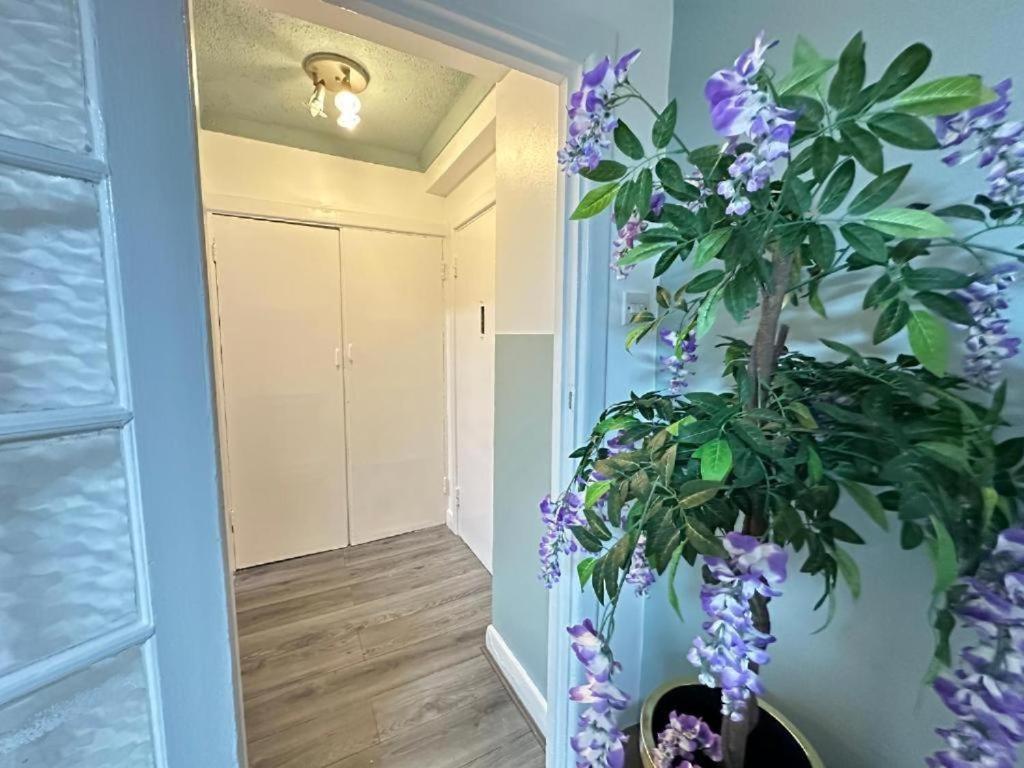 Park Lane Beautiful Apartment London